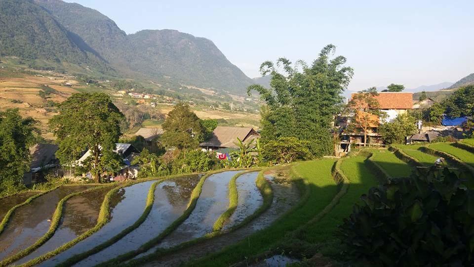 Ta Van Green Hills Homestay Sa Pa Eksteriør bilde