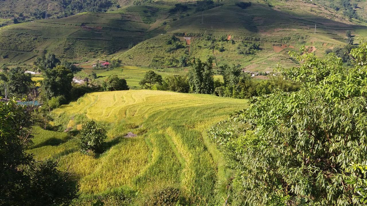 Ta Van Green Hills Homestay Sa Pa Eksteriør bilde