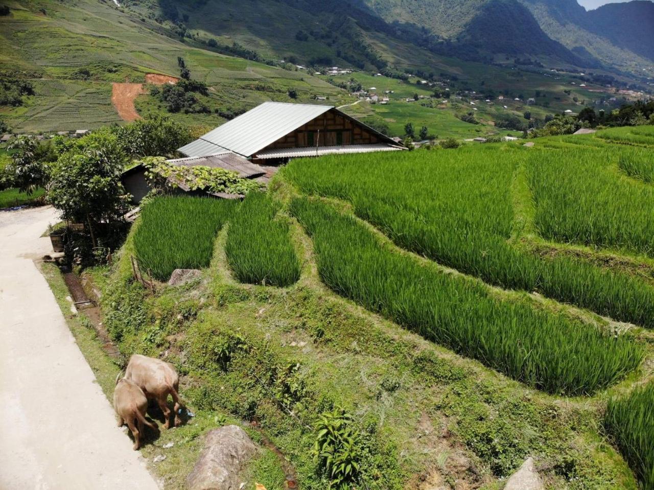 Ta Van Green Hills Homestay Sa Pa Eksteriør bilde