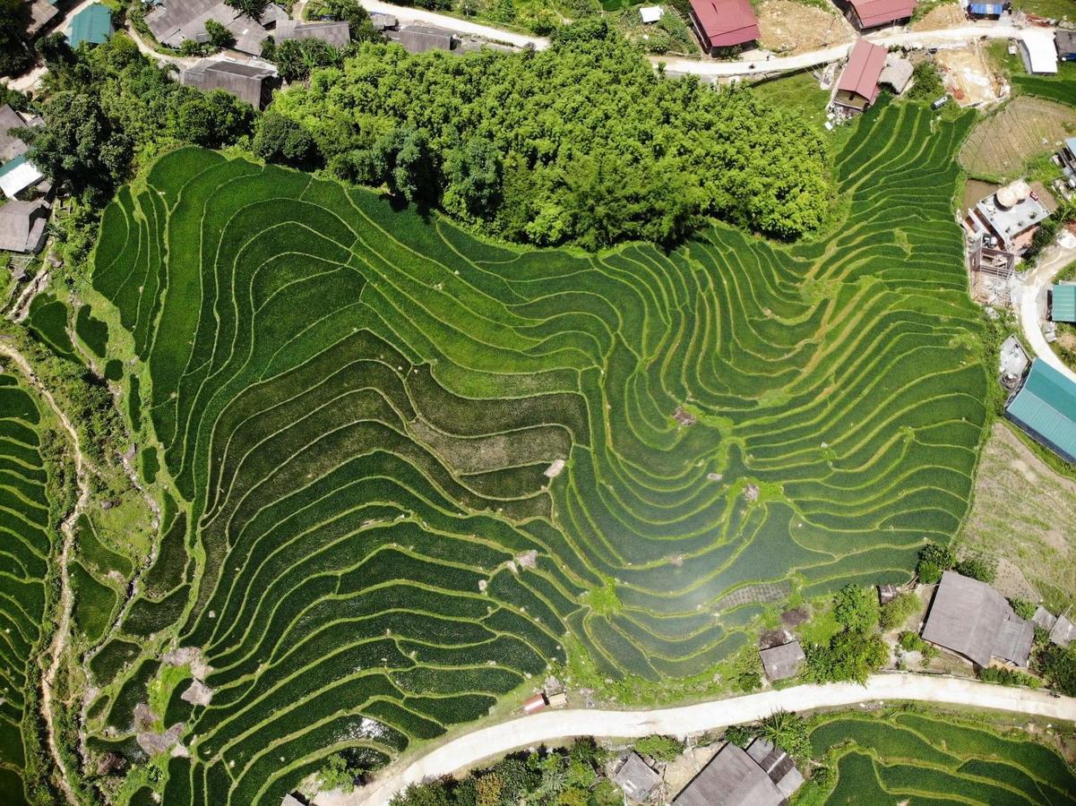 Ta Van Green Hills Homestay Sa Pa Eksteriør bilde
